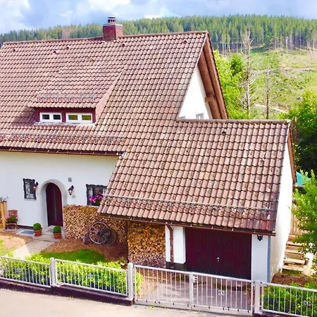 Feldberg / Falkau Holiday home
