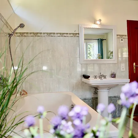 Schwarzwald Falkau 別荘 フェルトベルク