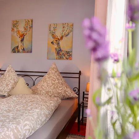 Schwarzwald Falkau 別荘